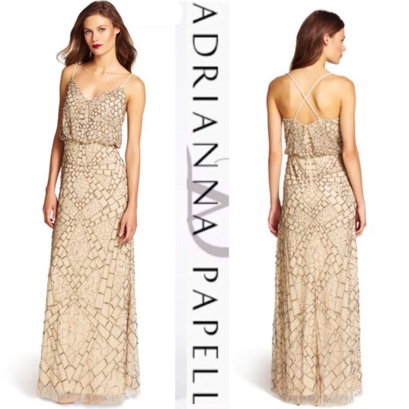 Adrianna Papell Dresses & Skirts - Adrianna Papell Beaded sleeveless Blouson long Dress